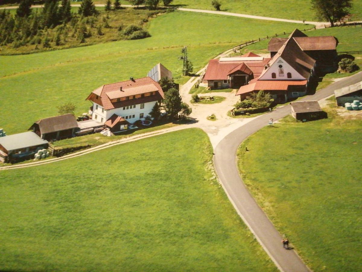 Erholung Am Bauernhof Bei Familie Seidl / Messner Villa Zeutschach Екстериор снимка
