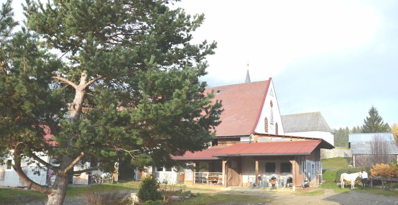 Erholung Am Bauernhof Bei Familie Seidl / Messner Villa Zeutschach Екстериор снимка