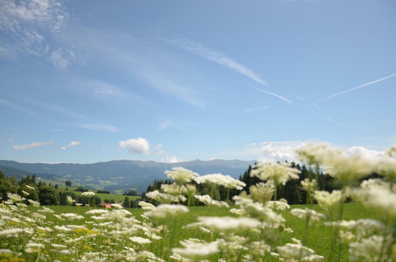 Erholung Am Bauernhof Bei Familie Seidl / Messner Villa Zeutschach Екстериор снимка