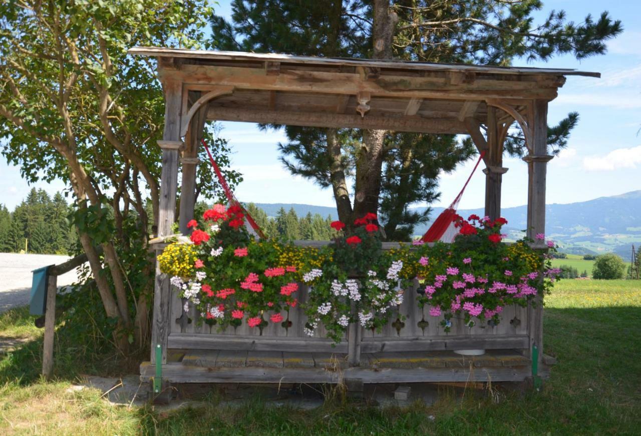 Erholung Am Bauernhof Bei Familie Seidl / Messner Villa Zeutschach Екстериор снимка